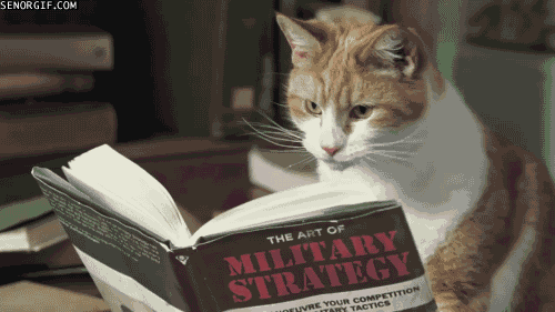 animated gif of a cat reading a book on military strategy