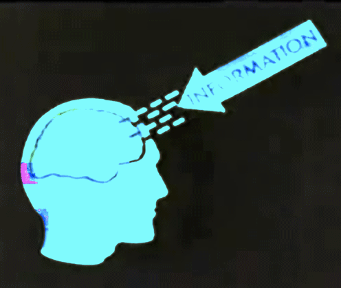animated gif of information entering a human brain